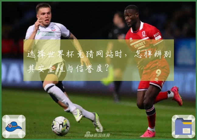 选择世界杯竞猜网站时，怎样辨别其安全性与信誉度？