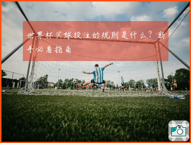 世界杯买球投注的规则是什么？新手必看指南
