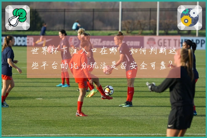 世界杯下注入口在哪，如何判断这些平台的比分玩法是否安全可靠？