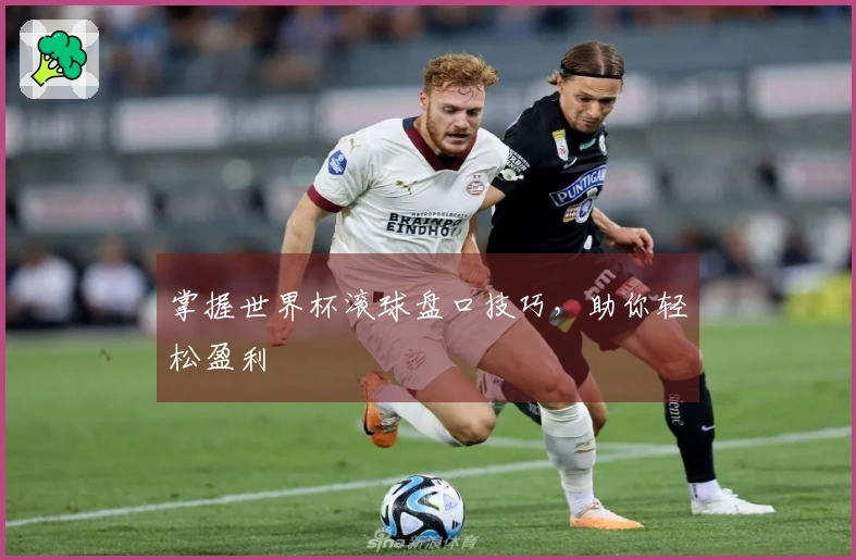 掌握世界杯滚球盘口技巧，助你轻松盈利