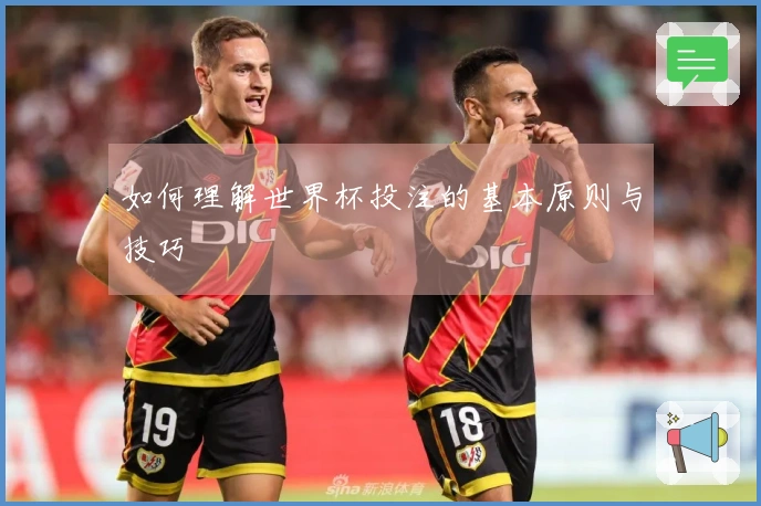 如何理解世界杯投注的基本原则与技巧