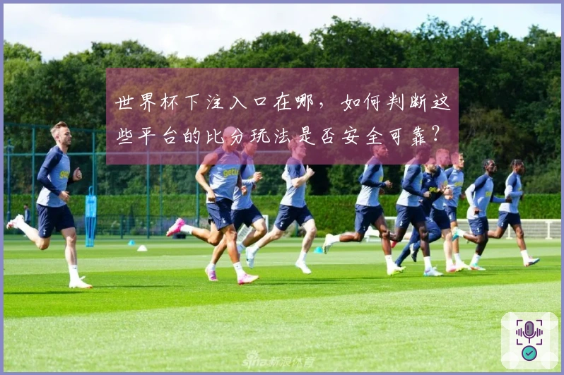 世界杯下注入口在哪，如何判断这些平台的比分玩法是否安全可靠？