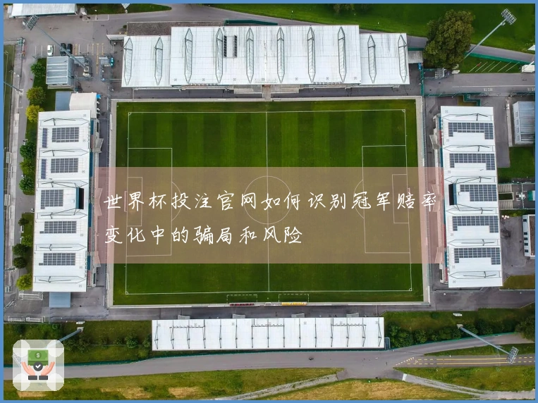 世界杯投注官网如何识别冠军赔率变化中的骗局和风险