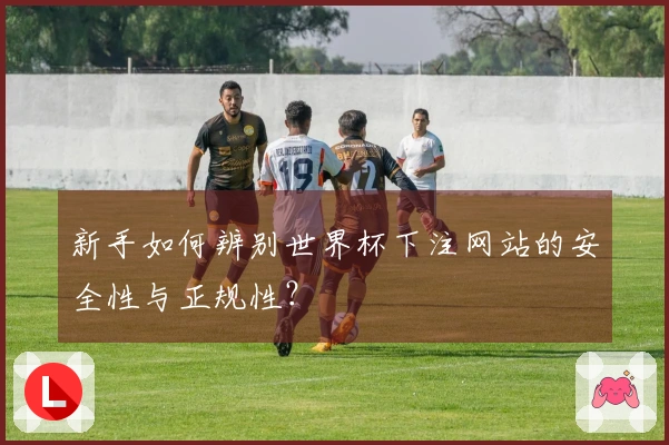 新手如何辨别世界杯下注网站的安全性与正规性？