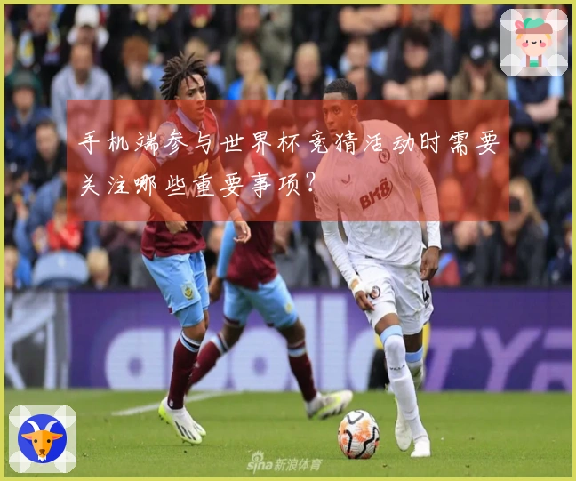 手机端参与世界杯竞猜活动时需要关注哪些重要事项?