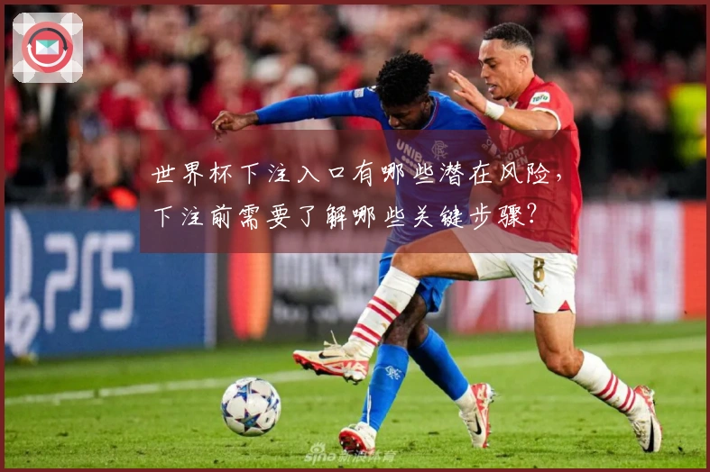 世界杯下注入口有哪些潜在风险，下注前需要了解哪些关键步骤？