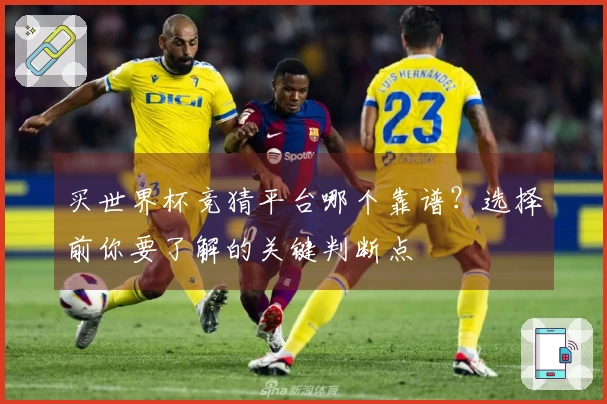 买世界杯竞猜平台哪个靠谱？选择前你要了解的关键判断点