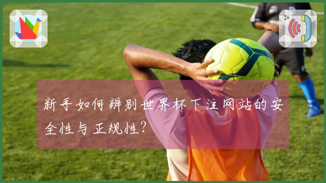 新手如何辨别世界杯下注网站的安全性与正规性？