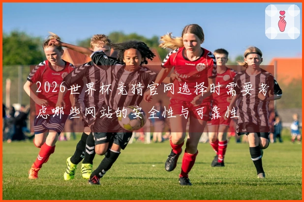 2026世界杯竞猜官网选择时需要考虑哪些网站的安全性与可靠性